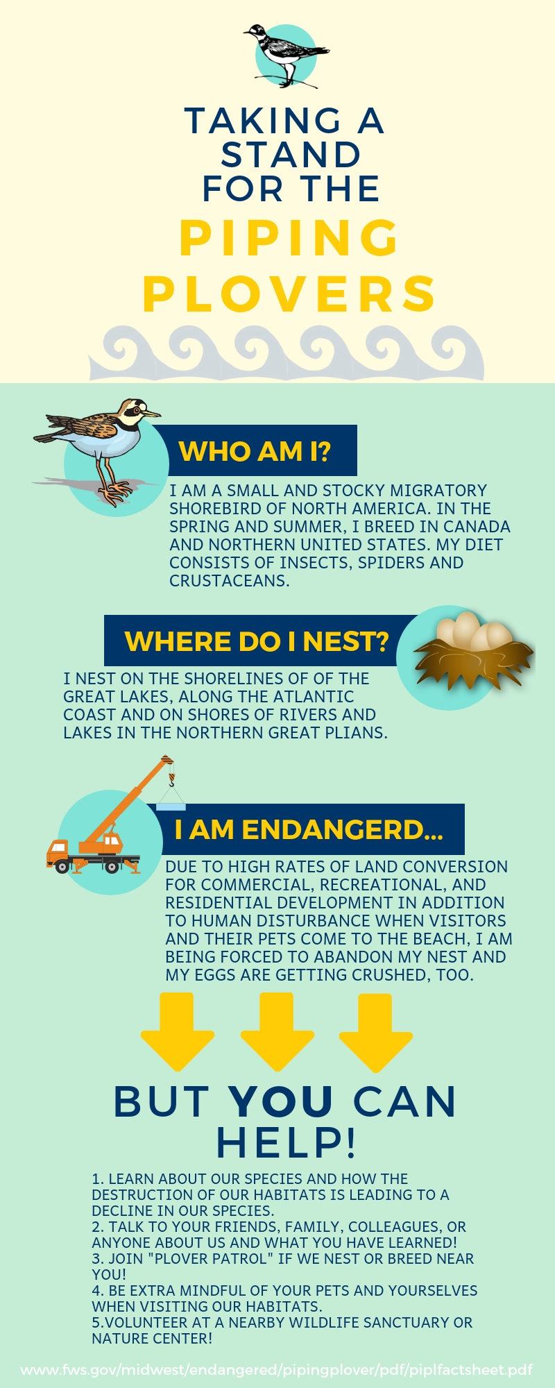 A PleadFor thePIPING